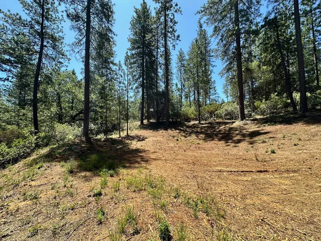 $550,000 | 1807 East Summit View Dr Meadow Vista, Meadow Vista, CA 95722