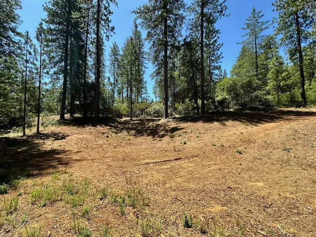 $550,000 | 1807 East Summit View Dr Meadow Vista, Meadow Vista, CA 95722