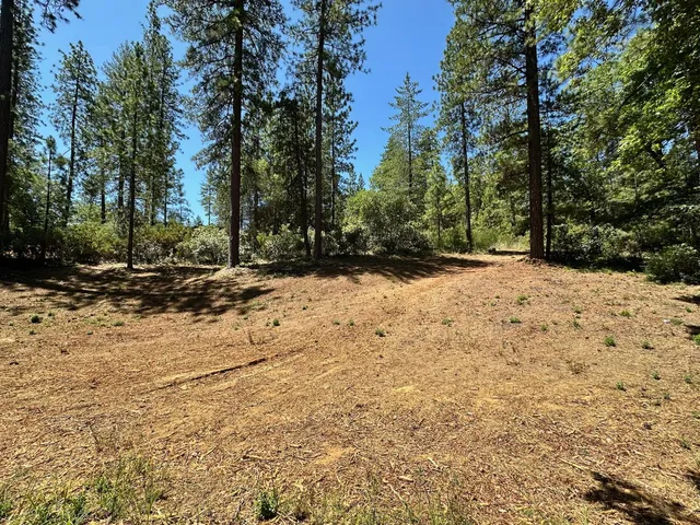 $550,000 | 1807 East Summit View Dr Meadow Vista, Meadow Vista, CA 95722