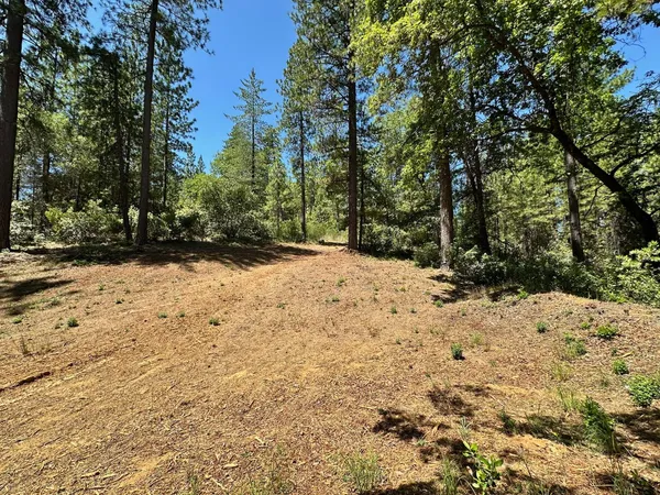 $550,000 | 1807 East Summit View Dr Meadow Vista, Meadow Vista, CA 95722