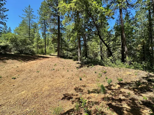 $550,000 | 1807 East Summit View Dr Meadow Vista, Meadow Vista, CA 95722