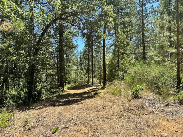 $550,000 | 1807 East Summit View Dr Meadow Vista, Meadow Vista, CA 95722