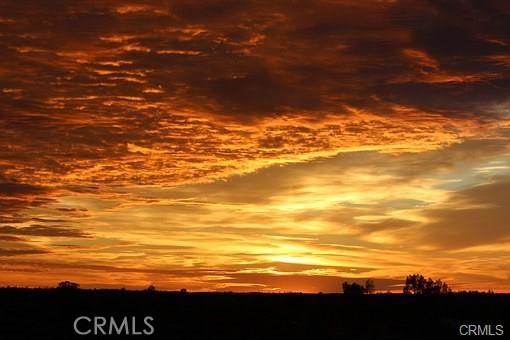 29 Palms Joshua Tree Ca  