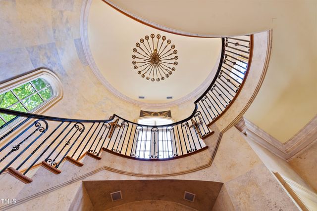 a view of a garden with plants and large trees
