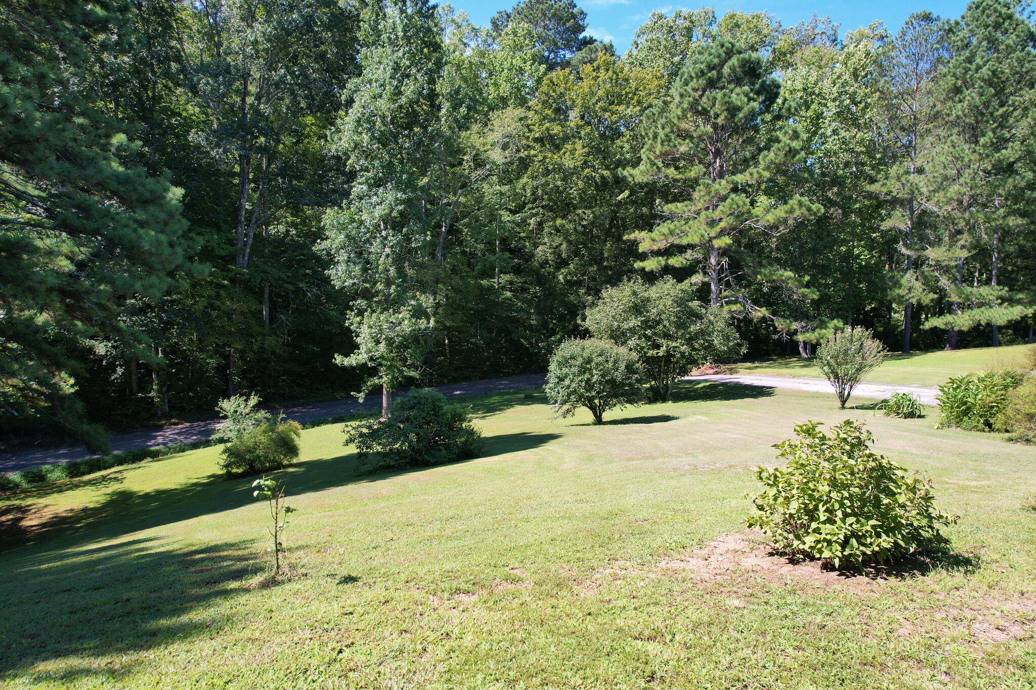 556 No Pone Valley Road Northwest Georgetown, TN 37336 - Photo 35 of 40 4-web-or-mls-DJI_0160