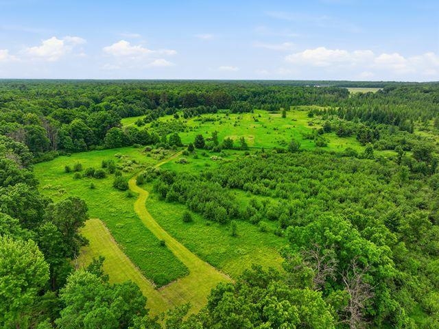 0 Holst Road Pittsville, WI 54466 - Photo 10 of 18