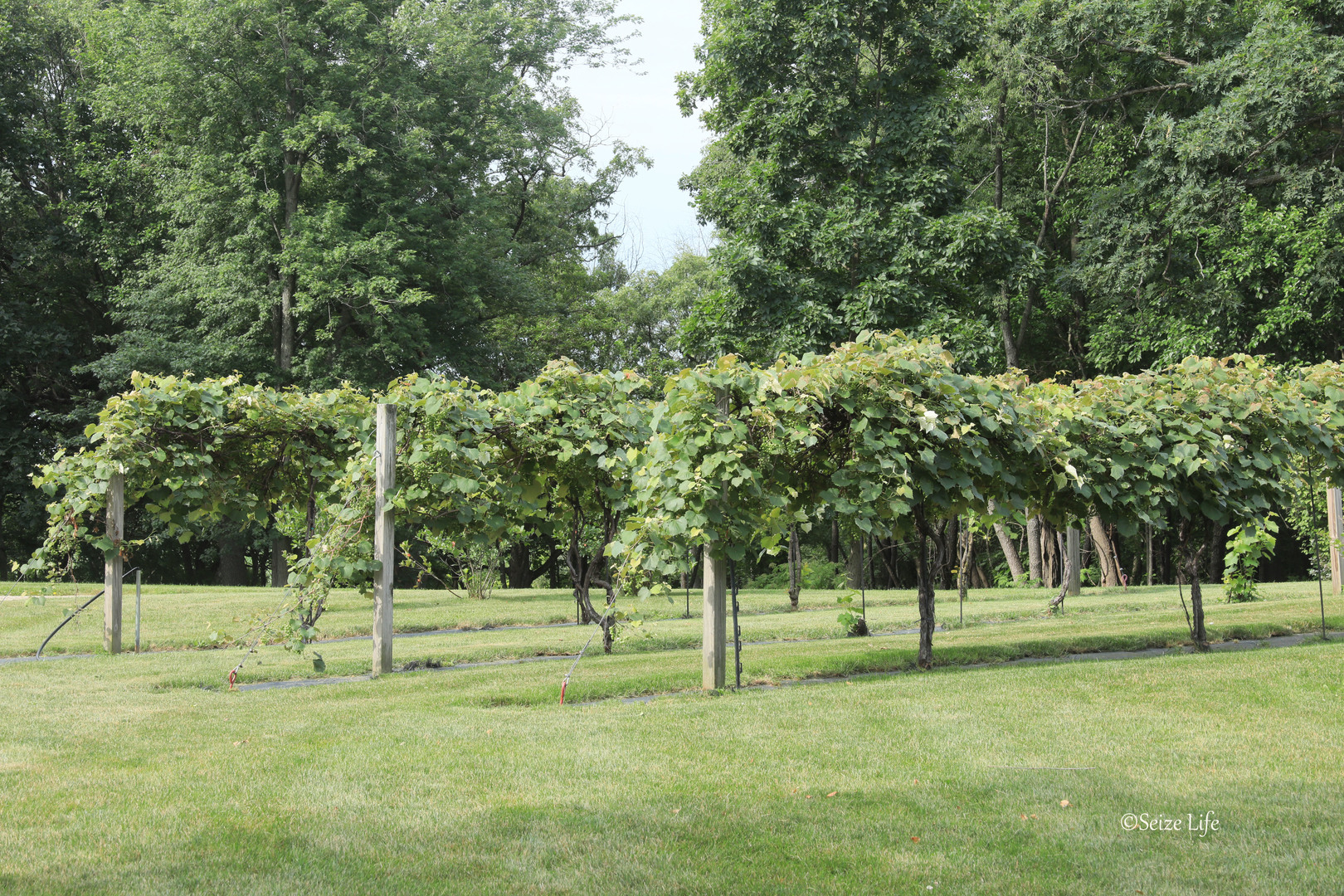 907 Busse Road Harvard, IL 60033 - Photo 43 of 45