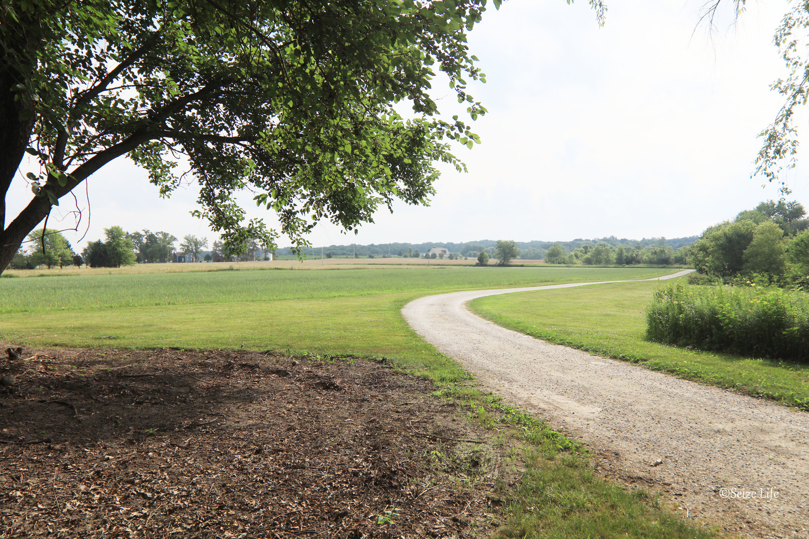 907 Busse Road Harvard, IL 60033 - Photo 45 of 45