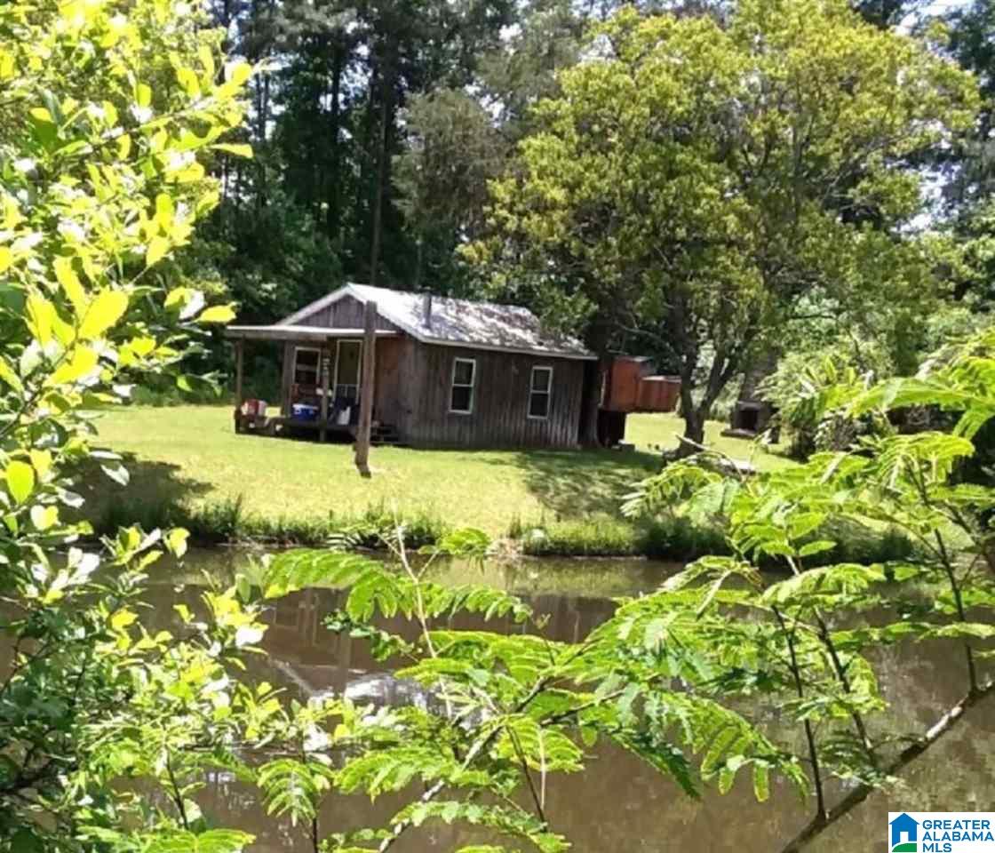 266 Lake David Road Lineville, AL 36266 - Photo 1 of 19