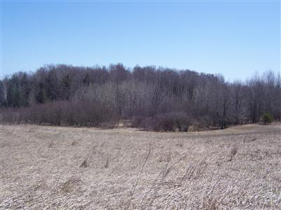 Deer Lake Road Reed City, MI 49677 - Photo 3 of 9 Additional Photo