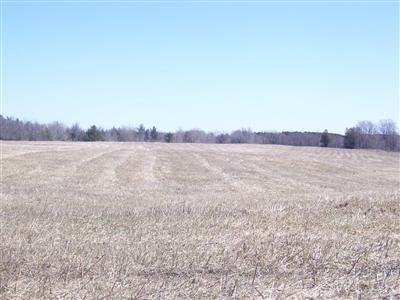 Deer Lake Road Reed City, MI 49677 - Photo 8 of 9 Additional Photo