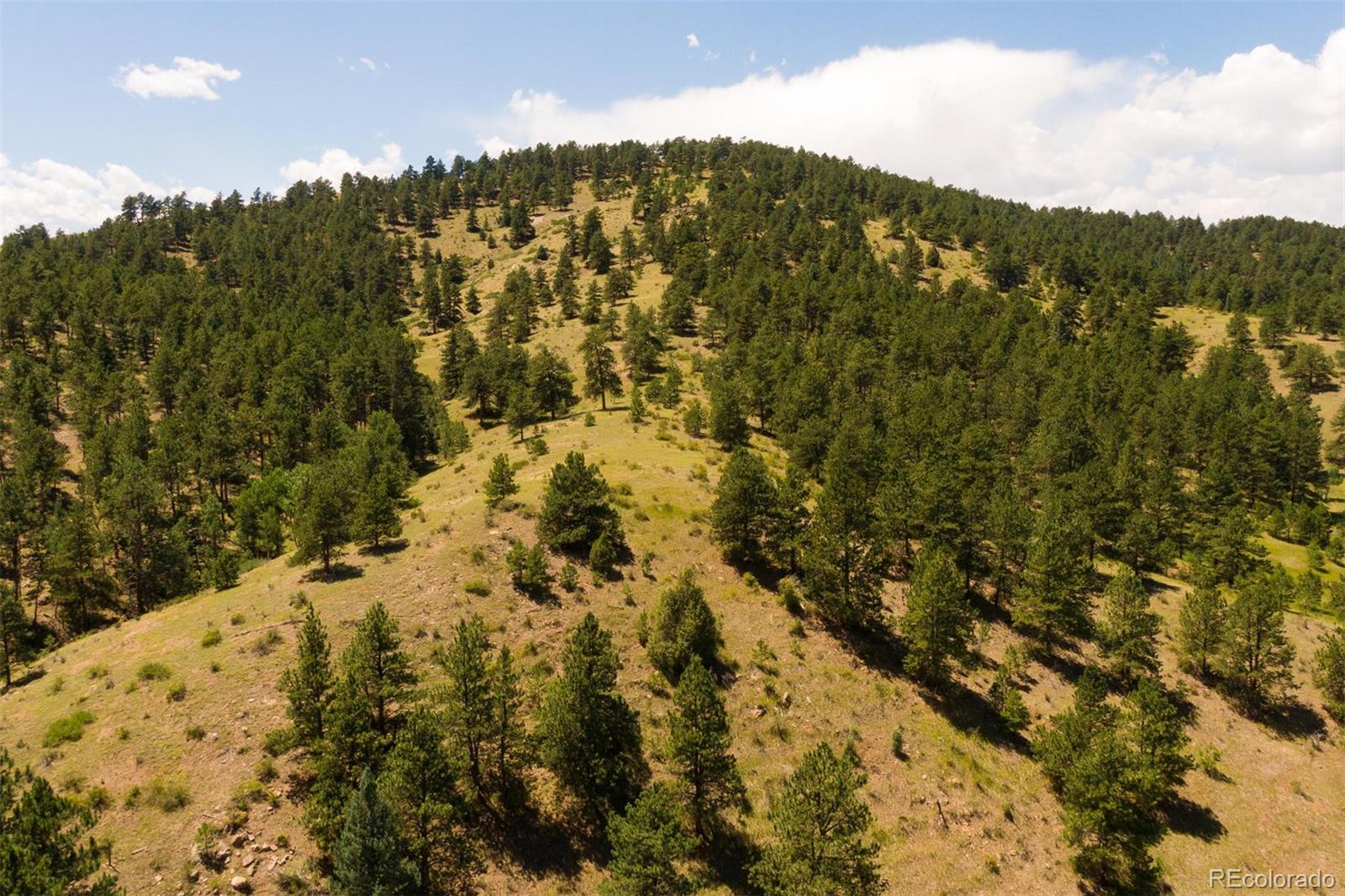 2414 Legacy Ranch Road Evergreen, CO 80439 - Photo 11 of 13 a view of a large building