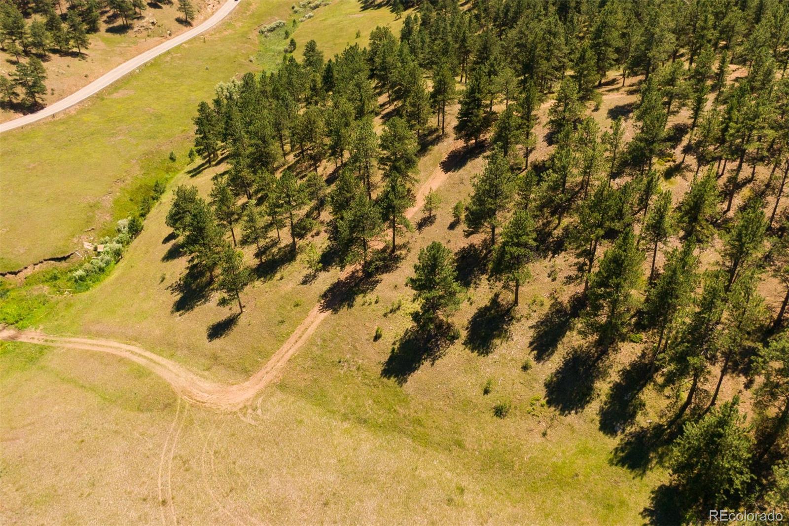 2414 Legacy Ranch Road Evergreen, CO 80439 - Photo 10 of 13 a view of yard with swimming pool
