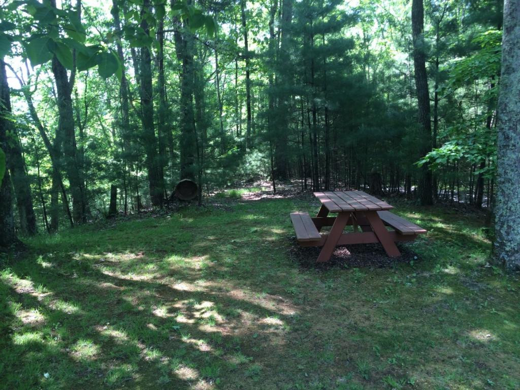 115 Cove View Road Unicoi, TN 37692 - Photo 12 of 14 Photo 12