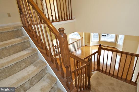 2247 Conquest Way, Unit 63 Odenton, MD 21113 - Photo 11 of 30 a view of staircase with lots of frames on wall and a potted plant