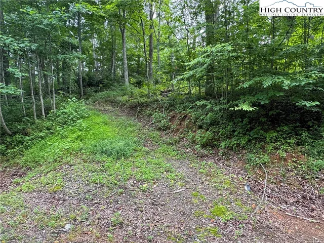 an aerial view of mountain with yard