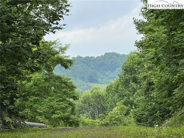 $58,900 | Wishing Waters Edge, Creston, NC 28615