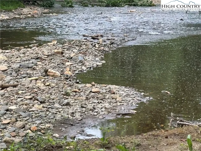a view of a tree in a yard