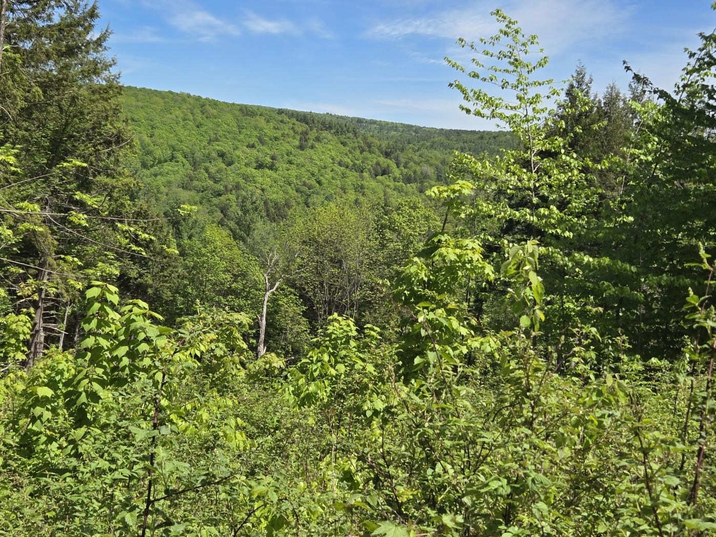 0 Vt Route, Unit LOT 2 Bethel, VT 05032 - Photo 9 of 11