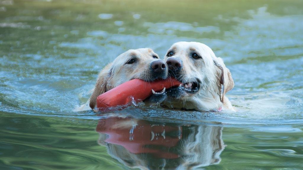 4775 Berkeley Walk Point Berkeley Lake, GA 30096 - Photo 89 of 102