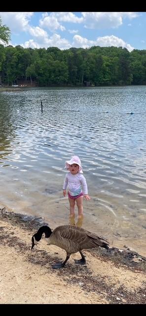 4775 Berkeley Walk Point Berkeley Lake, GA 30096 - Photo 93 of 102