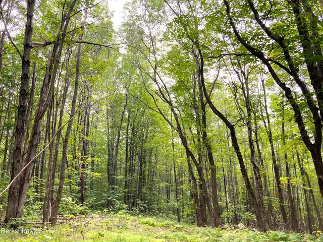 $75,000 | Monroe Road, North Adams, MA 01247