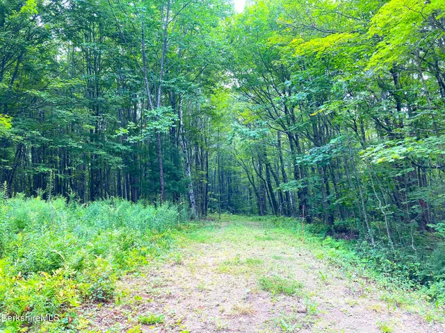 $75,000 | Monroe Road, North Adams, MA 01247
