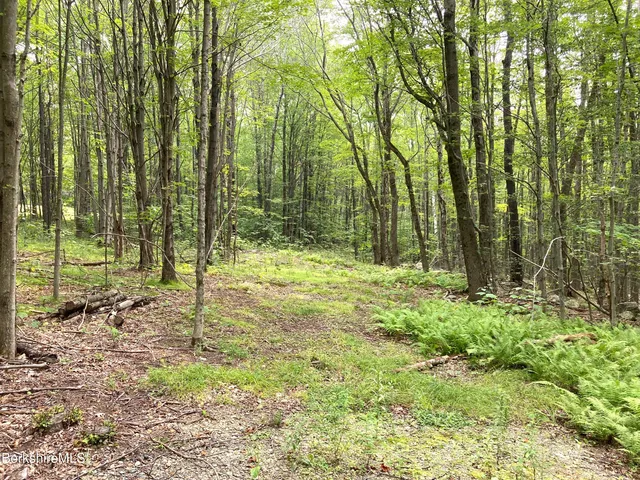 $75,000 | Monroe Road, North Adams, MA 01247