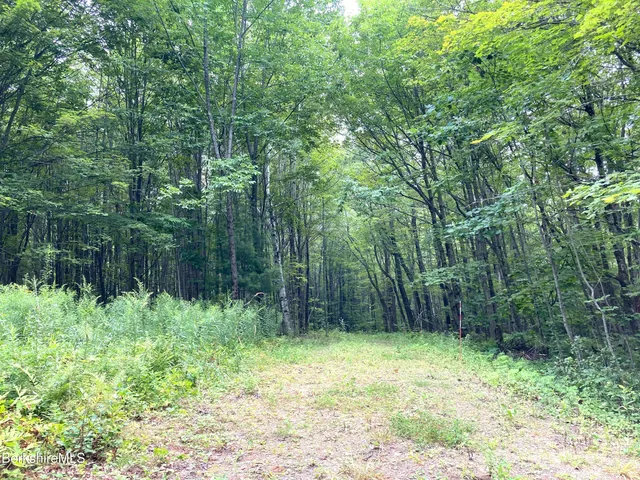 $75,000 | Monroe Road, North Adams, MA 01247