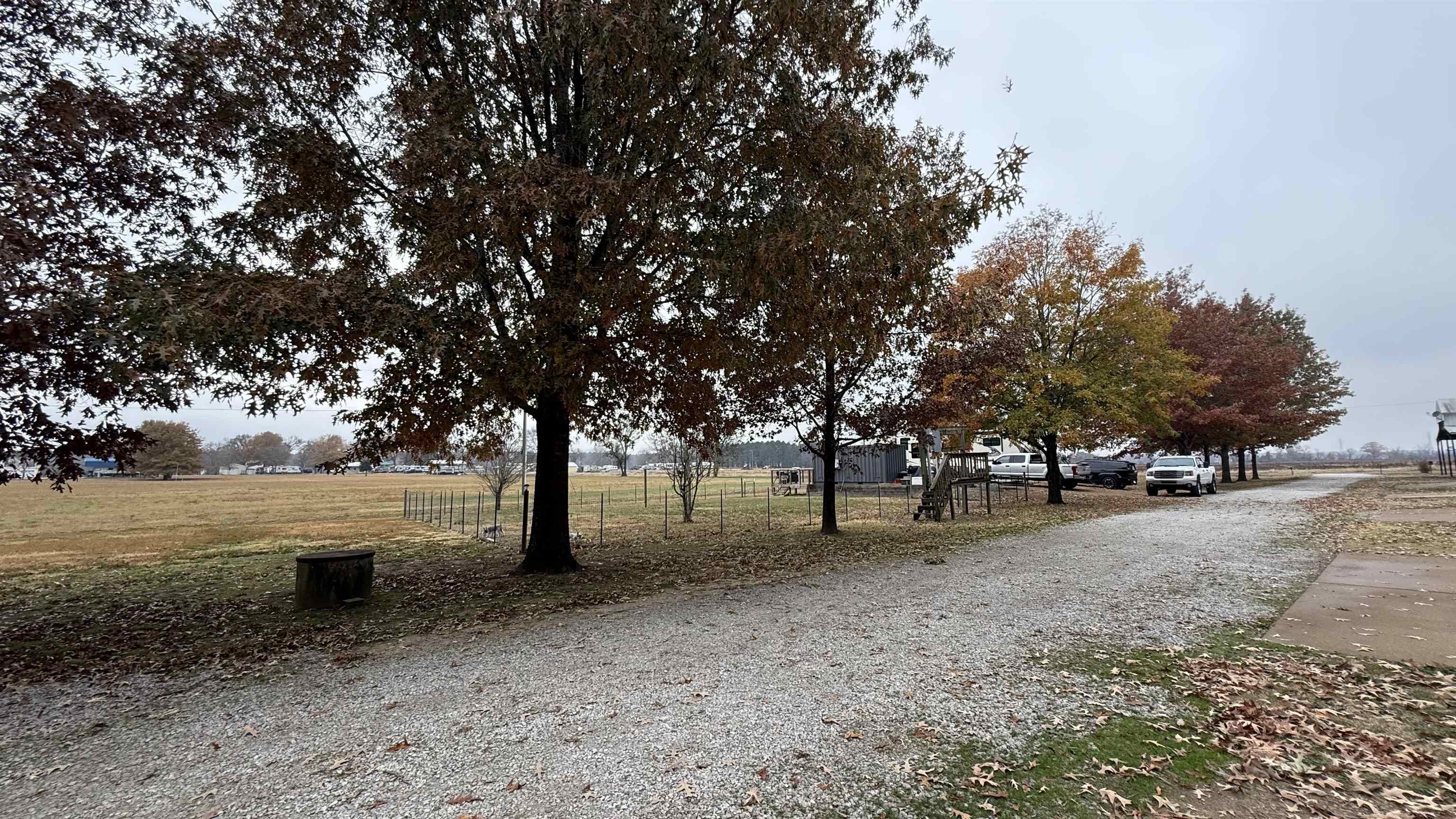 771 Botel Road Savannah, TN 38372 - Photo 3 of 9 a view of some trees in the backyard