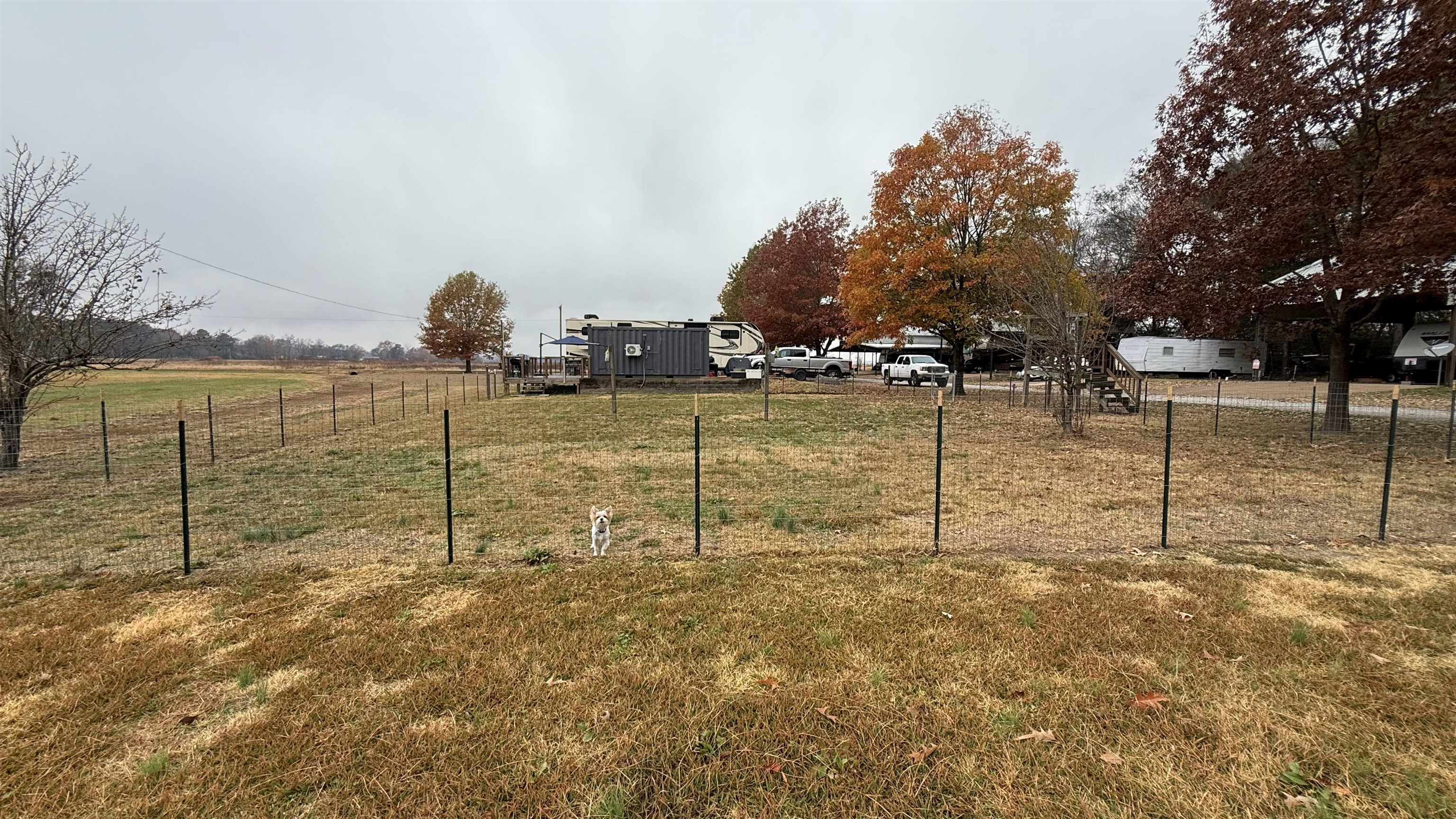 771 Botel Road Savannah, TN 38372 - Photo 7 of 9 a view of a yard with an empty space