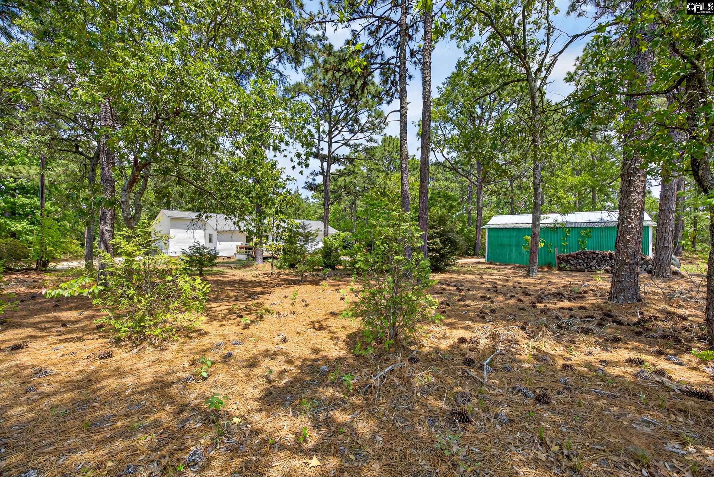 614 Longs Pond Road Lexington, SC 29073 - Photo 51 of 74