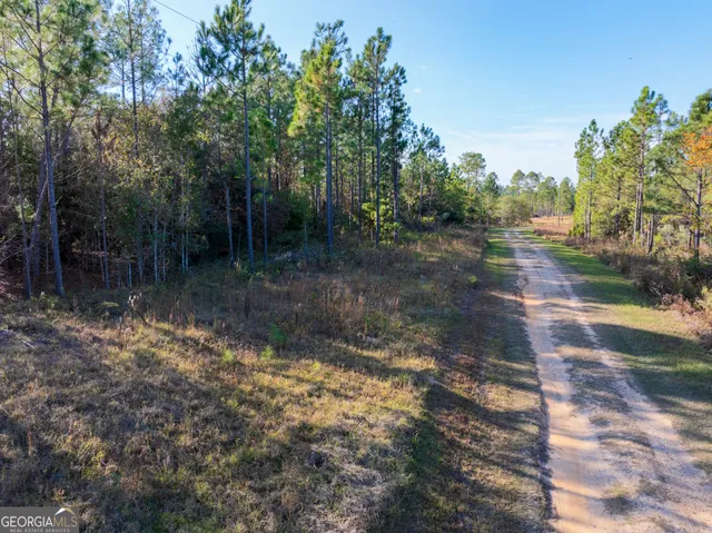 $25,900 | 2.01-acres Clifford Rogers Road, Lyons, GA 30436