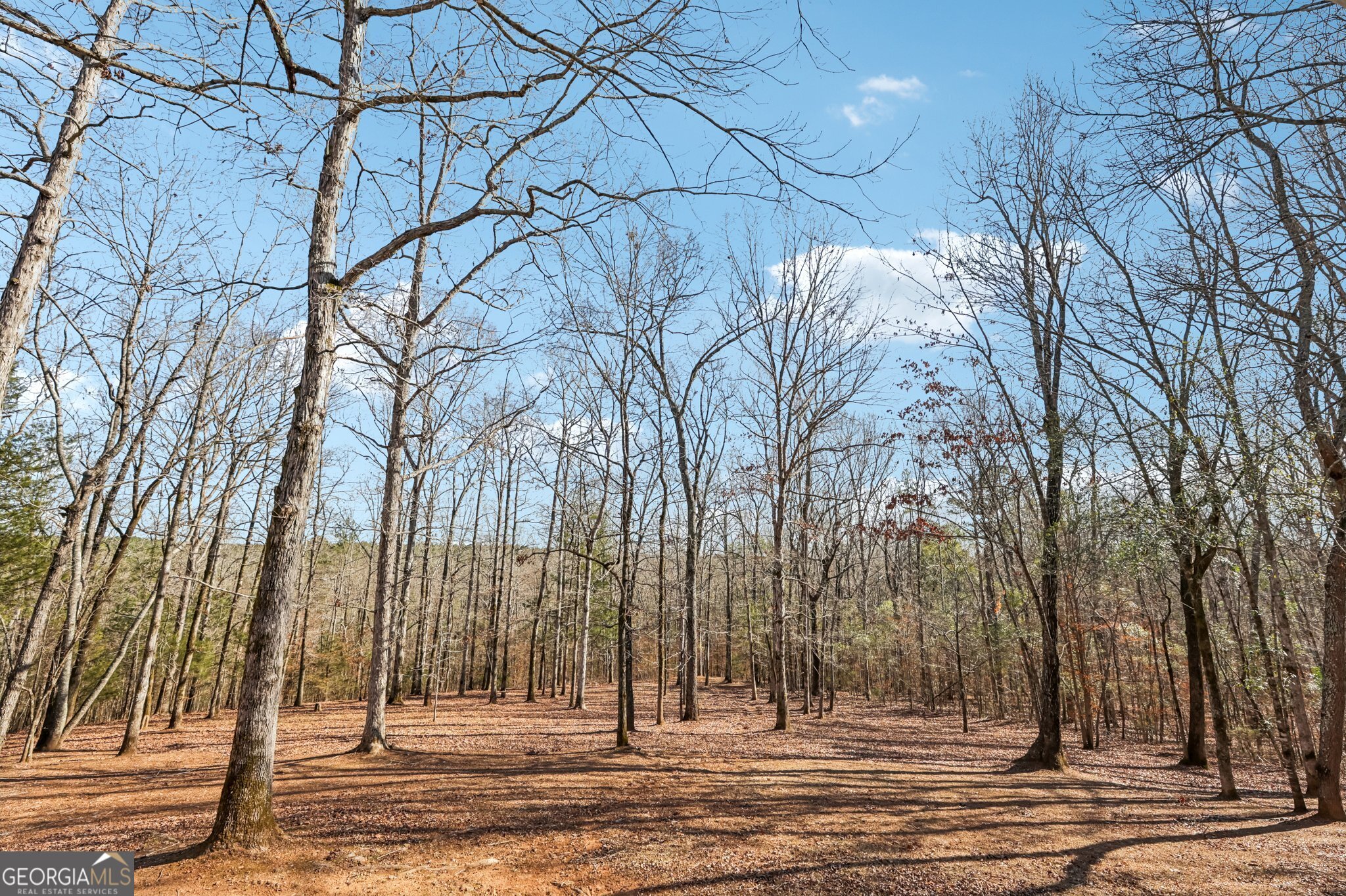 1015 Adams Road West Point, GA 31833 - Photo 63 of 108 a view of a city view of trees
