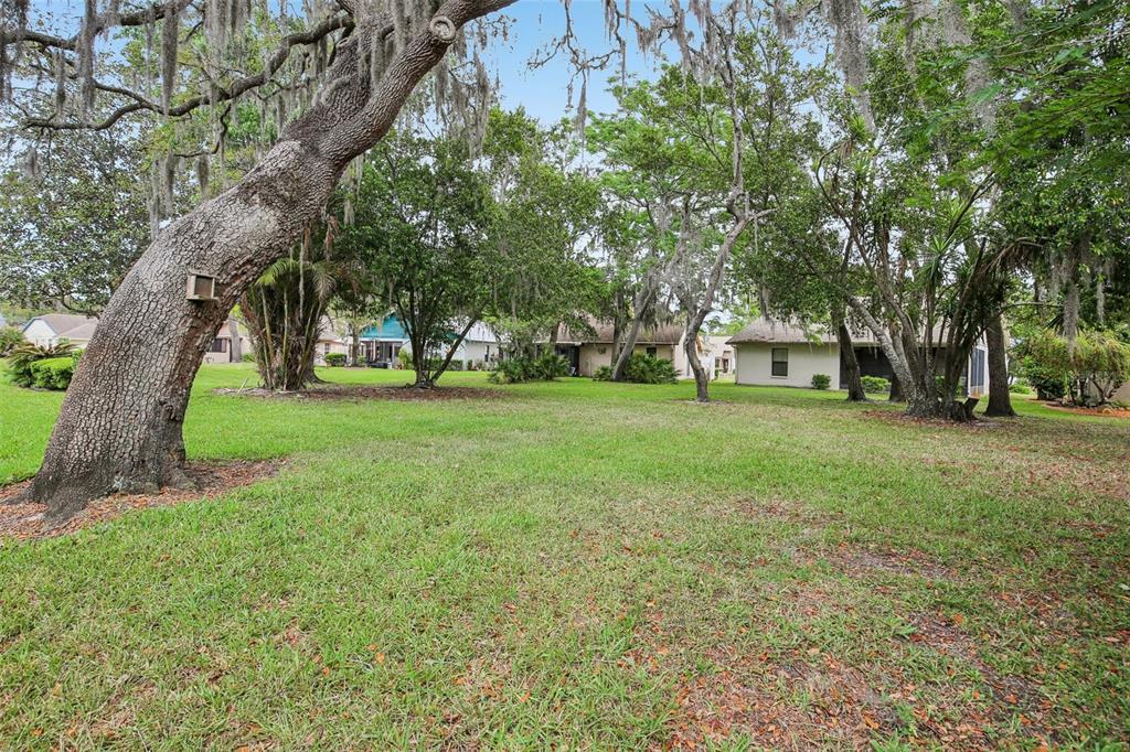 11622 Cocowood Drive New Port Richey, FL 34654 - Photo 15 of 31
