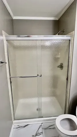 a bathroom with a shower and a toilet