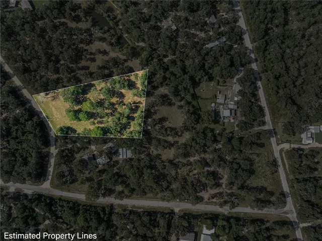 a view of a yard with plants