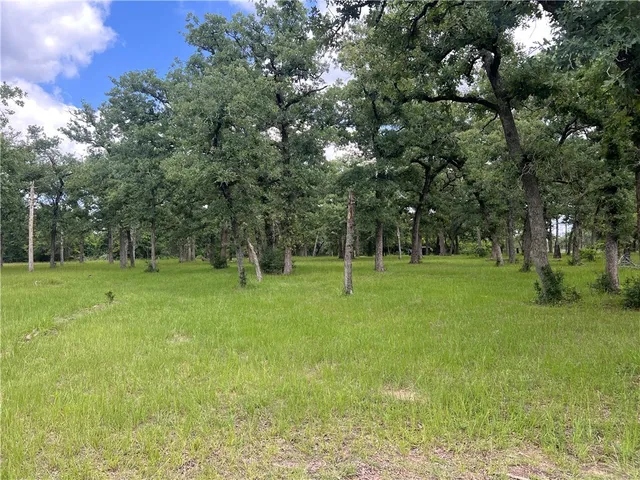 a view of green field