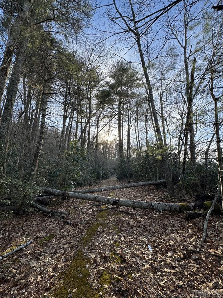 0 Wilson Road Highlands, NC 28741 - Photo 5 of 5 Gallery Image 5