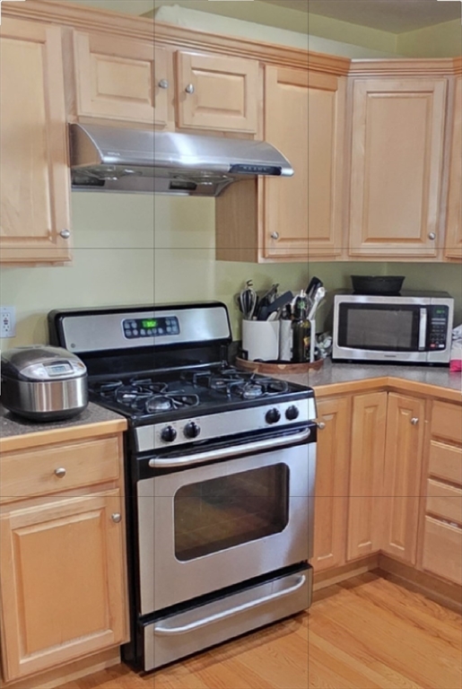 42 Castine Street, Unit 1 Worcester, MA 01606 - Photo 8 of 37