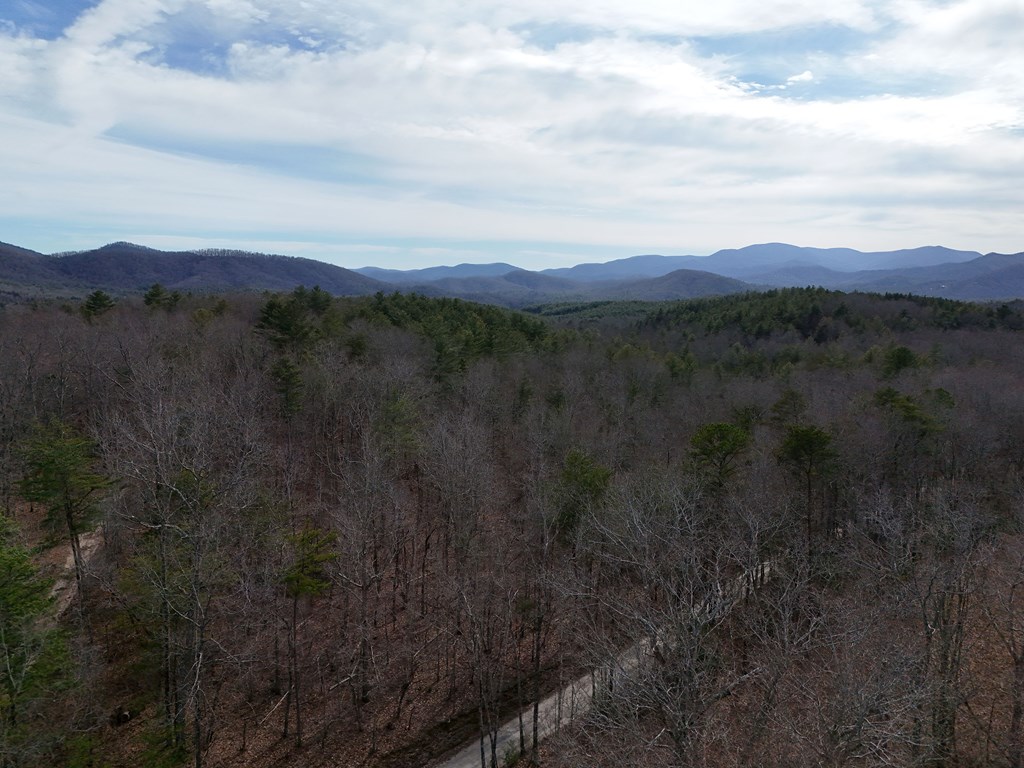 2.94-acr Padena Road Blue Ridge, GA 30513 - Photo 9 of 43 Gallery Image 9