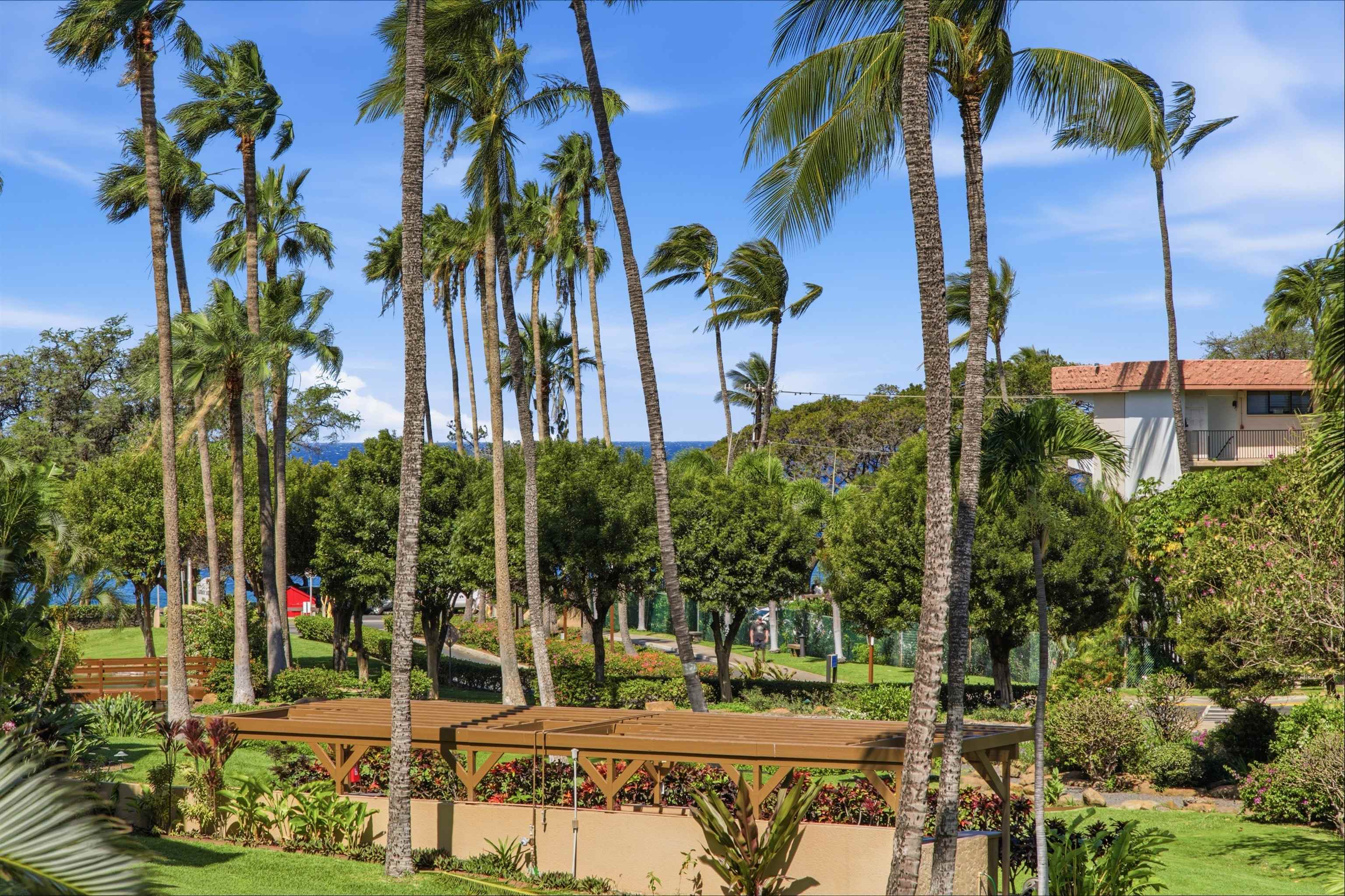 2695 South Kihei Road, Unit 6201 Kihei, HI 96753 - Photo 22 of 50