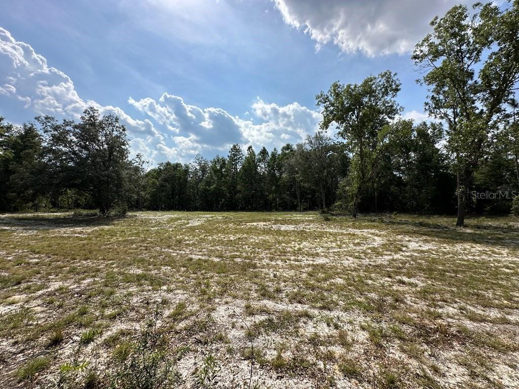 Northwest 1st Street Branford, FL 32008 - Photo 11 of 15 a backyard of a house with lots of green space