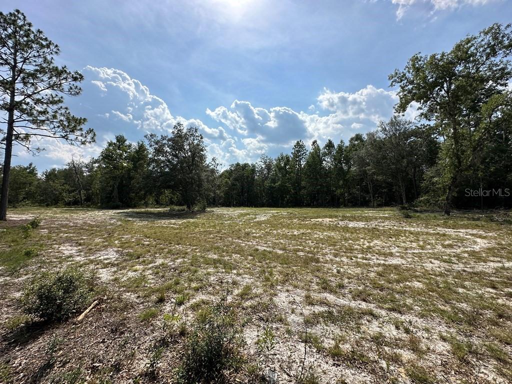 Northwest 1st Street Branford, FL 32008 - Photo 12 of 15 a view of a field
