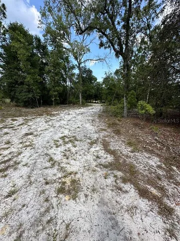 a view of outdoor space with deck and trees