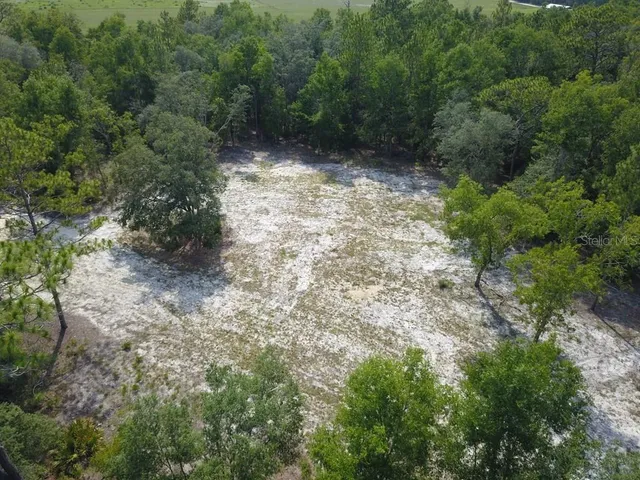 a view of a forest with trees in the background