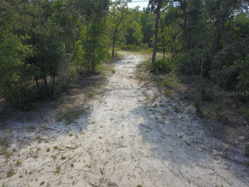 Northwest 1st Street Branford, FL 32008 - Photo 8 of 15 a view of a forest with trees in the background