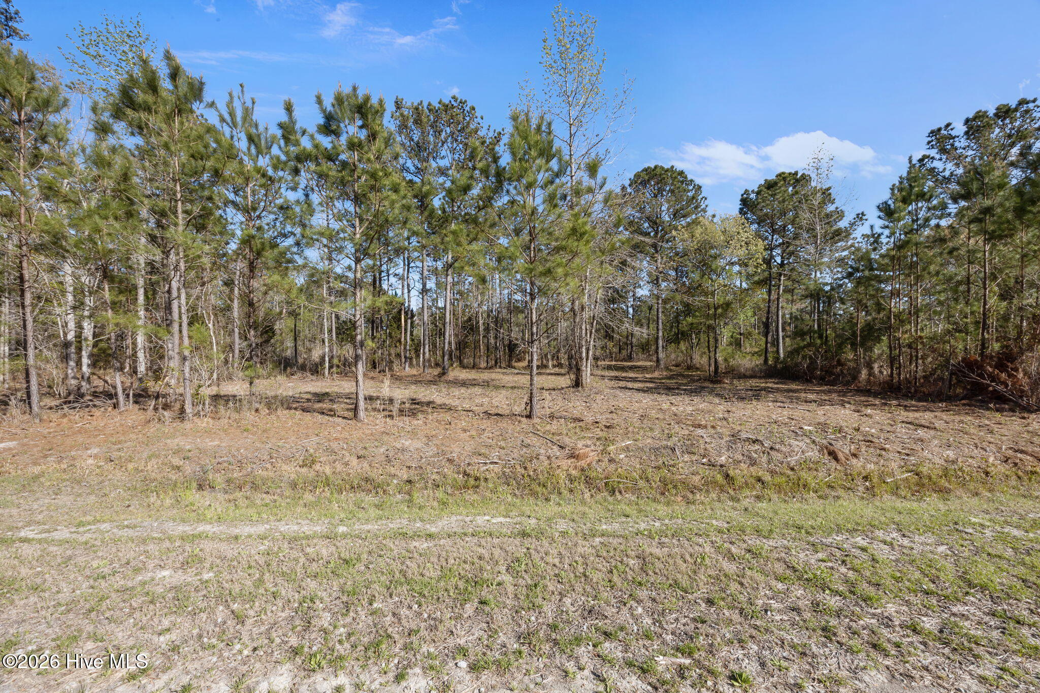 168 Shell Castle Lane Vandemere, NC 28587 - Photo 15 of 15 4-web-or-mls-0C0A8016