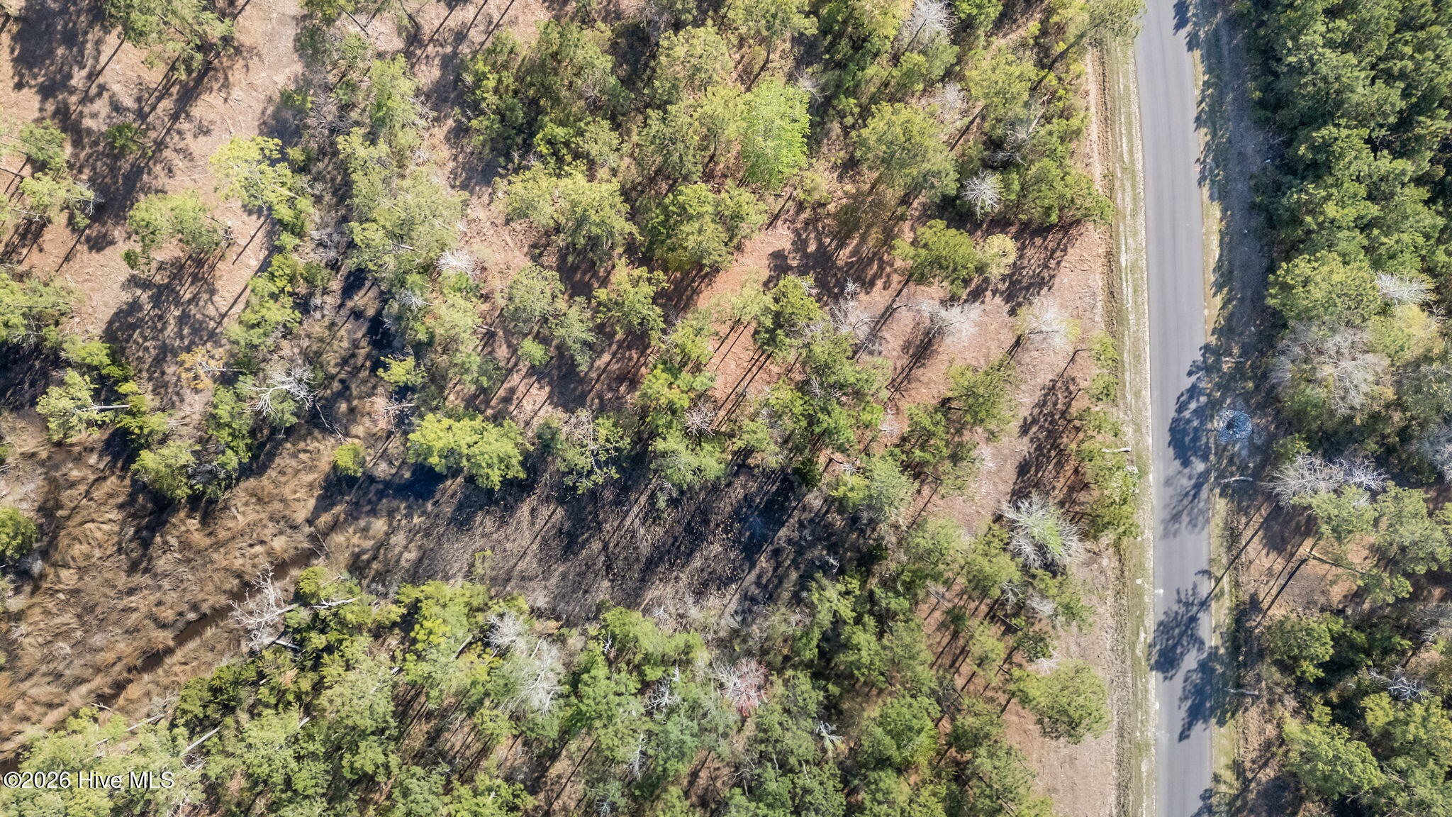 168 Shell Castle Lane Vandemere, NC 28587 - Photo 6 of 15 6-web-or-mls-DJI_20260331163816_0152_D