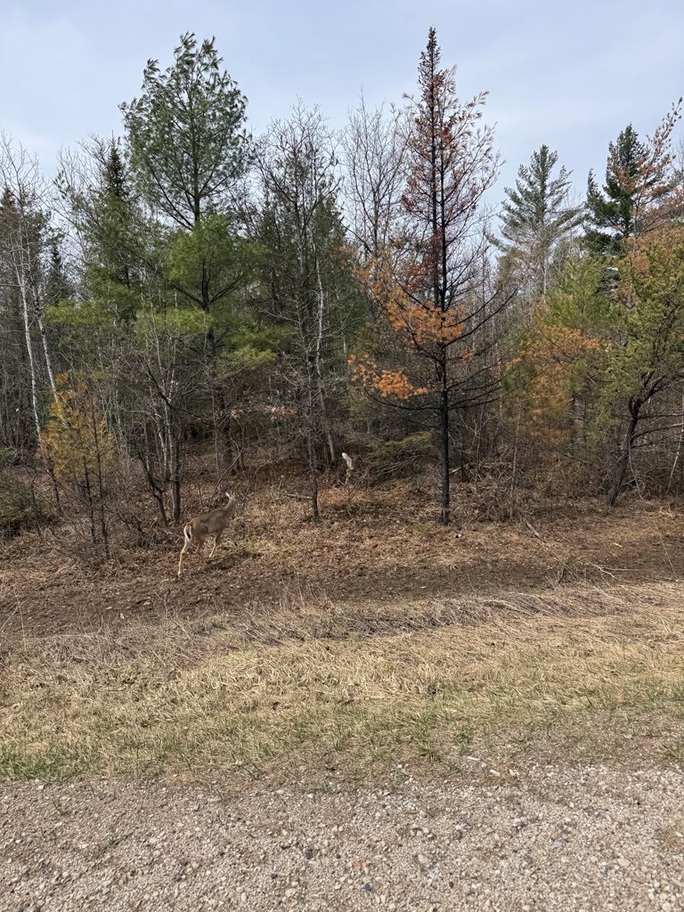 2695 Millers Road Florence, WI 54121 - Photo 73 of 78